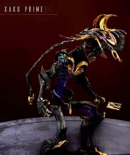 Xaku Fashion Frame