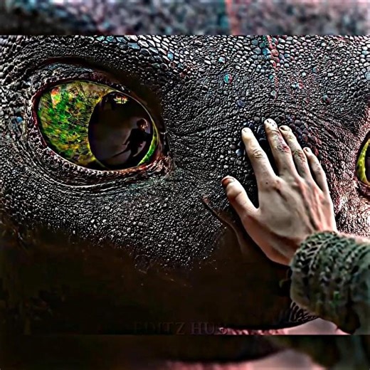 hiccup and toothless bonding ❤️🐦‍🔥 #edit #dragon