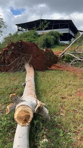145K views · 8.8K reactions | Building Stronger Climate Smart Goat & Sheep Housing #agriculture #farmlife #goat #letstalkagriculture | Khalil Agri-Tech Brown | Facebook