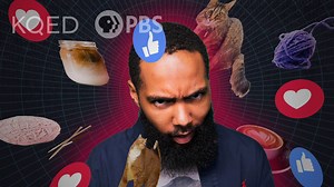 12K views | Why do you see what you see online and in social media and how can that influence your identity and behavior? Co-produced with Common Sense Education | Above the Noise • PBS | Facebook
