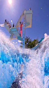 1.8M views · 1.3K reactions | High tides and good vibes  @gopro @goprode #goprohero12 #water #diving #jump #travelphotography #pool #summer #fun #flips #outside #sport | Osama | Facebook