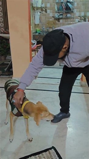 Jackie ka new skill — ‘Round’ command OP! 😳❤️