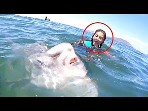 6 Deep Sea Creatures Faced By Divers!