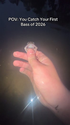 It was with a cast net so it might be cheating @𝒜𝓍𝑒𝓁 #fish #fishing #2026 #fishingvideos