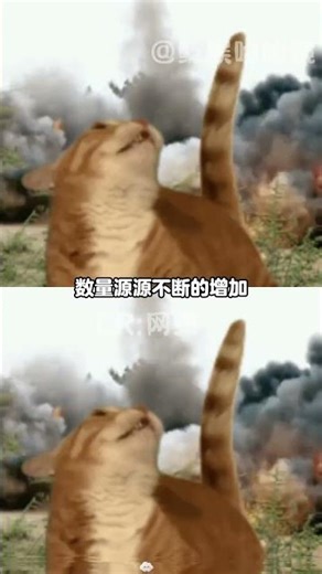 Insect Magnet Kid Crushes Bug in Sweet Moment