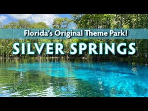 Exploring Silver Springs State Park: Florida's Original Theme Park With....Wild Monkeys?!