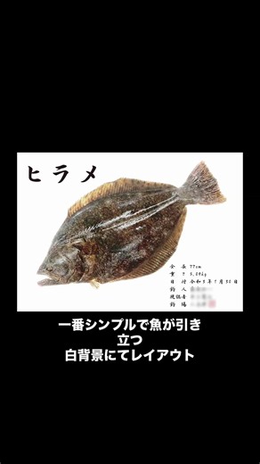 【平目デジタル魚拓】#平目＃ヒラメ #船釣り #サーフフッシング #釣り #サーフ #fishing #デジタル魚拓 #魚拓