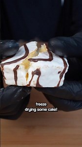I Freeze Dried A Zebra Cake Into A Cookie