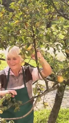 5 Spring Garden Chores That Decide How Your Whole Season Goes
