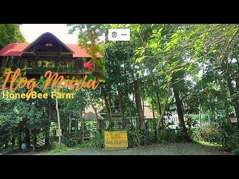 Ilog Maria Honeybee Farm, Silang Cavite, Philippines