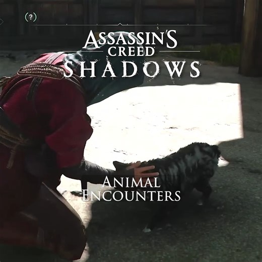 Even shinobi and samurai need furry friends. Stop to pet or paint animals across Assassin's Creed Shadows to unlock them in your Hideout. | PlayStation