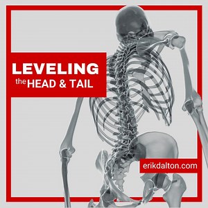 Leveling the Head & Tail Techniques for Tension, Trauma, and Weak Posture Instructor: Erik Dalton, Ph.D. Location: Oklahoma City, OK Dates: June 30 – July 2, 2023 CE: 24 NCBTMB-Approved CE Hours The brain wants the head to sit on an even platform to allow maximum head-on-neck rotation. Scientists believe our ancestors evolved this head-righting instinct to better track prey. In our modern world, where few of us need to track prey, this natural response to a poorly aligned spinal column causes th