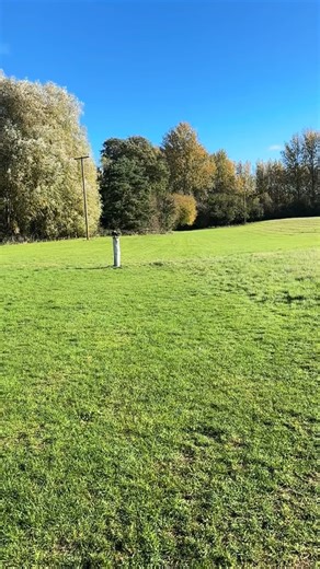 60 reactions | Emily our junior falconer training Jake the harris’s...