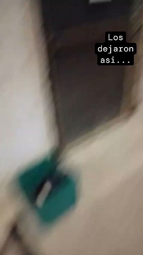 6.4K views · 18 reactions | Esta mañana 7 hs ... los dejaron en un cajon. Es mas facil tirarlos que castrar a la mama que hoy es gratuito no? El ser humano pretende tener animales pero no tener responsabiliddes. Cuando esten en condiciones se daran en adopcion. Si alguien puede darles transito con traslado y vete nos pueden escribir? Whatsapp 1169233782 | Adopciones Quilmes | Facebook