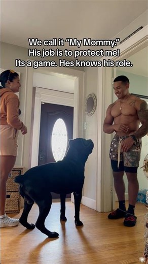 Cane Corso:Don’t be afraid,Mum,I’m here!#canecorso #guarddog #dogsoftiktok #family #loyaldog