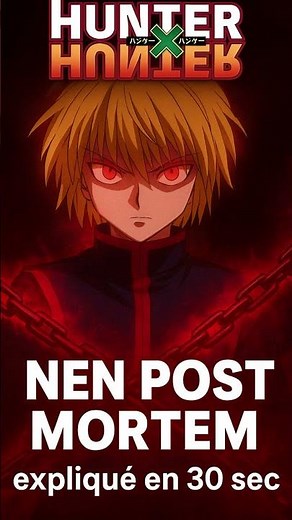 LE NEN POST MORTEM EXPLIQUÉ EN 30 secondes ! #hxh #anime #manga #hunterxhunter #œuvre