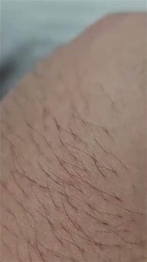 Hello Neighbor Real Life