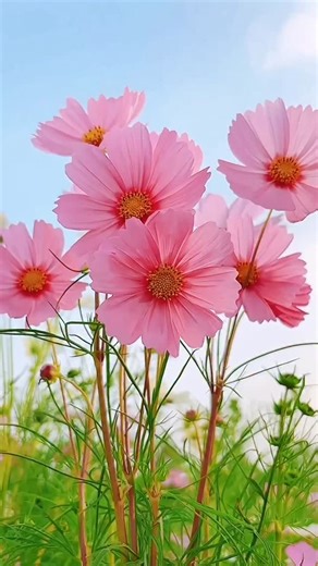 Flowersworld on Instagram: "#flower #homedecoration #flowerarrangement #spring"