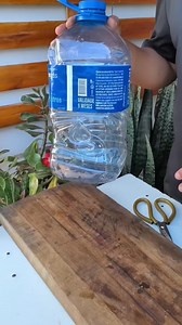 1.9M views · 47K reactions | vaso decorativo com garrafa pet | Dicas Domésticas | Facebook