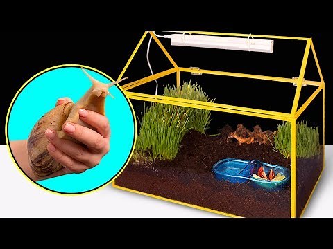 Wie man ein Haus für eine riesige Schnecke baut