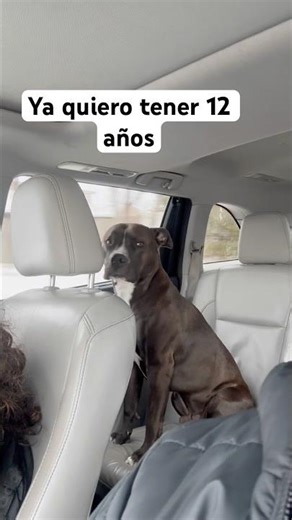Ya quiero quiero tener 12 años para ir al frente con mi mami.#fup #viral #bartolothebestdog