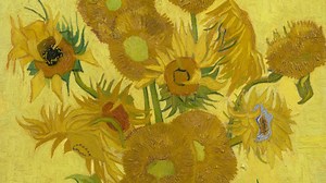 95K views · 7.9K reactions | How much do you know about Van Gogh’s Sunflowers? 5 surprising facts about this famous art work. | Van Gogh Museum | Facebook