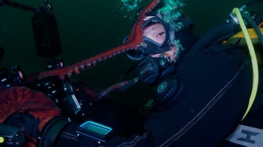 #TheMoment a giant Pacific octopus grabbed a camera and took a selfie