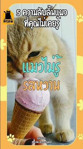 5 Secrets of a Cat's Tongue You Never Knew #cat #catlover #catkeeping #meowbarn #MeowBarn