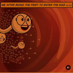 26K reactions · 349 shares | ME AFTER BEING THE FIRST TO ENTER THE EGG #comedy #viral #funnyvideos #funny #animation #animationvideo #success #youpage #allpages | Vivid Animation's | Facebook