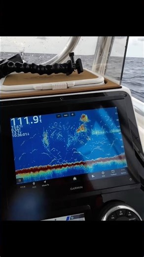 Highlights From the Full Triggerfish Adventure #fishing #northcarolinafishing #onslowbay