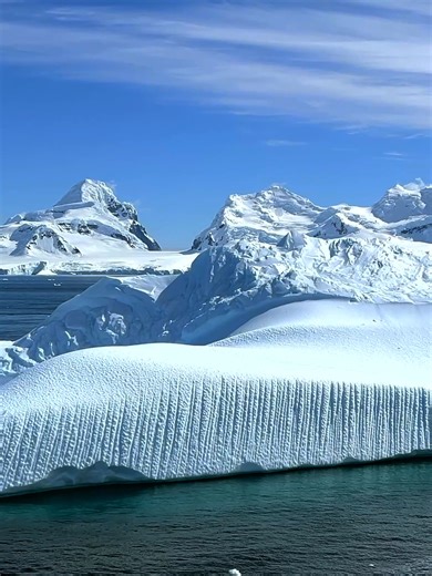Antarctica Expedition Guide: Experience the Vastness