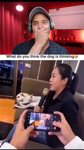 Dog.exe Has Stopped Working! 🧠🚫#FunnyDog #KaraokeFail