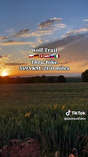 Explore the Wolf Trail: Europe's Newest Thru-Hiking Adventure