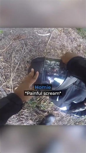 Biker's friend hits a deer on the road🤓