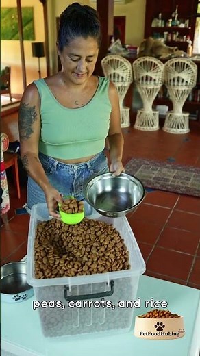 How to make homemade dog food