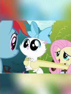 The ponies' pets