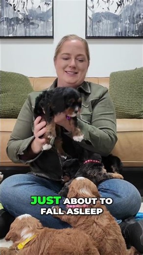 💕 Braylee & Bella – Sweet as Can Be