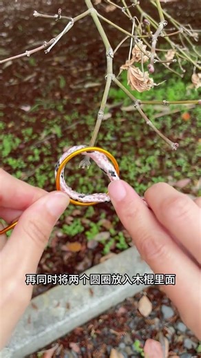 Unlock Your Imagination: Brain-Boosting Thinking Exercises for the Masses