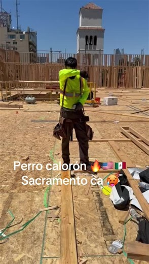 LaloGTO (@lalogto)’s videos with sonido original - El mañoso Guzman 🐓