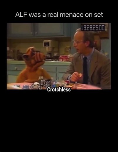 Apparently ALF Was A Real MENACE On Set! WILD!