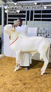 50 reactions · 37 shares | AAT INTEGRATED FARM....