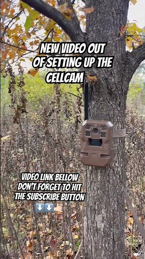 Moultrie Cell Cam set up !! #hunting #deer #moultrie #moultriemobile #deerhunting