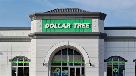 Dollar Tree shoppers are grabbing $3 decoration - it's 80% cheaper than Walmart
