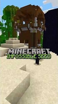 Minecraft's IMPOSSIBLE Seed (SUPER RARE!) #minecraftseeds #minecraftfacts