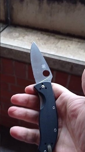 Spyderco Tenacious EDC Knife