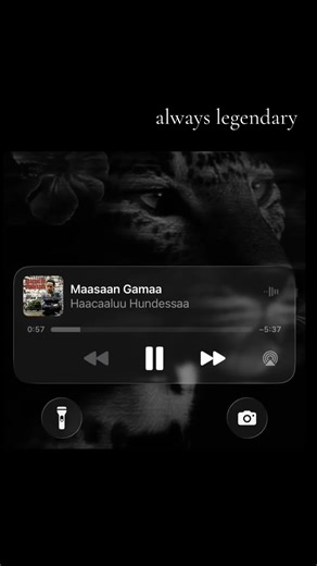 Unique Perspectives: Celebrating Individuality