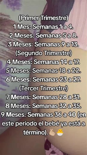Guía del Embarazo: Primer, Segundo y Tercer Trimestre