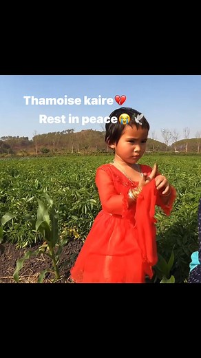 920K views · 18K reactions | Pamuidako angng cgi khnlaga thouna henna leiba oiyuko ebung Farmer Lairenmamit | Yaisana Leima | Facebook