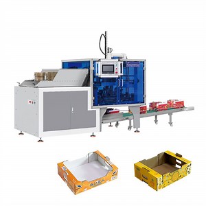 [Hot Item] Corrugated Cardboard Paper Banana Citrus Orange Apple Gift Packaging Box Carton Making Folding Machine