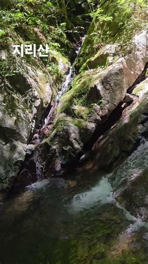청정지리 계곡산행#지리산#지리산계곡산행#지리산골맛집#여름산행지
